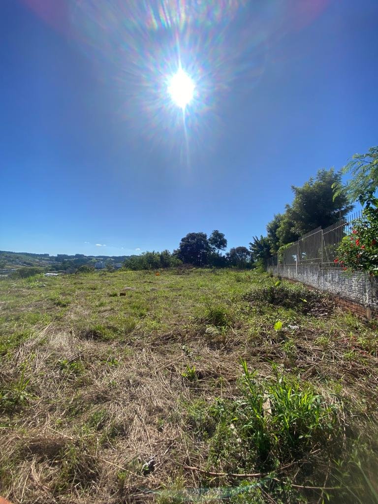 TERRENO TERRENO